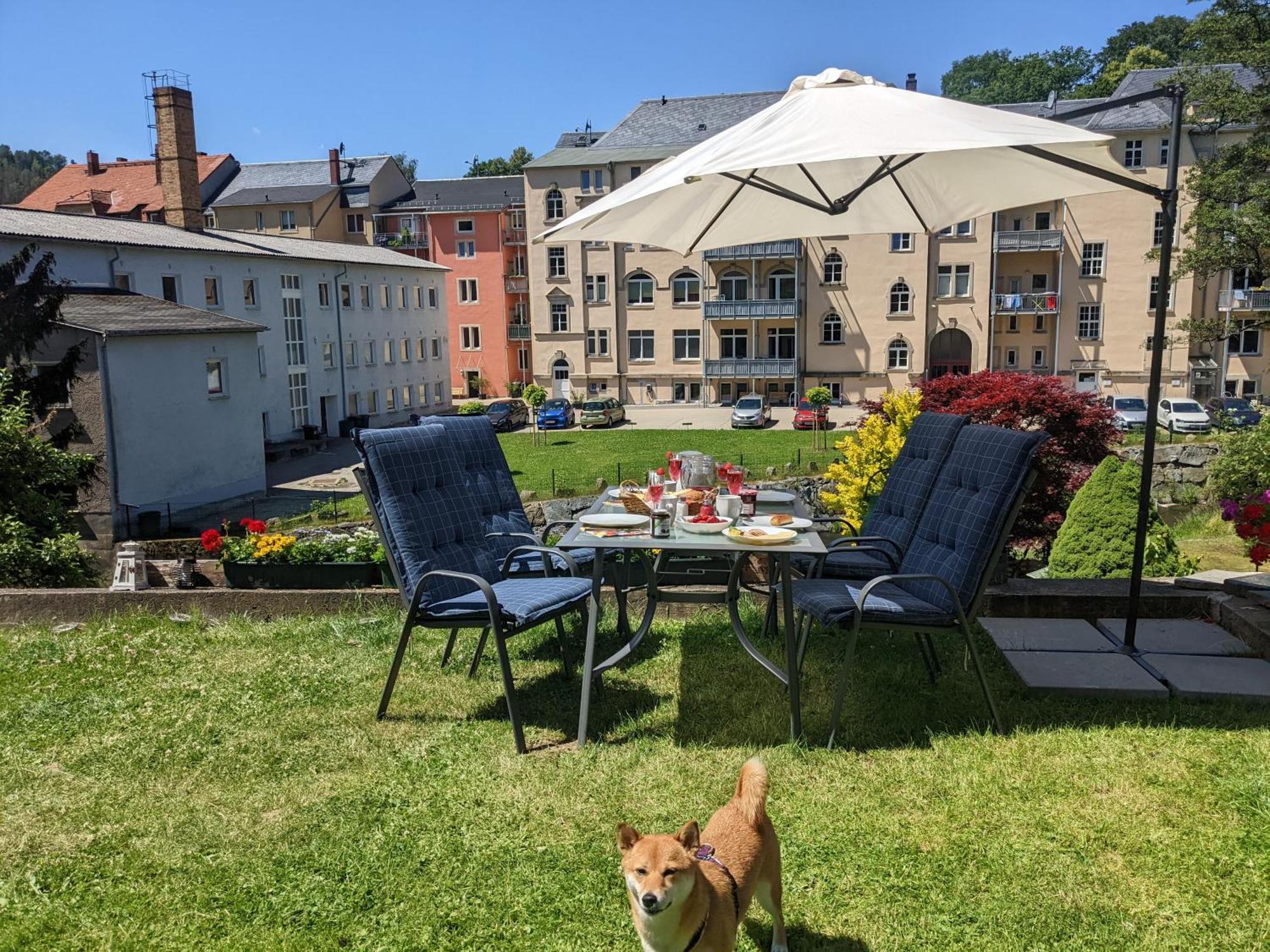 Hw3 - Urlaubsmagie - Helle, Grosse Wohnung Mit Pool Зебниц Экстерьер фото