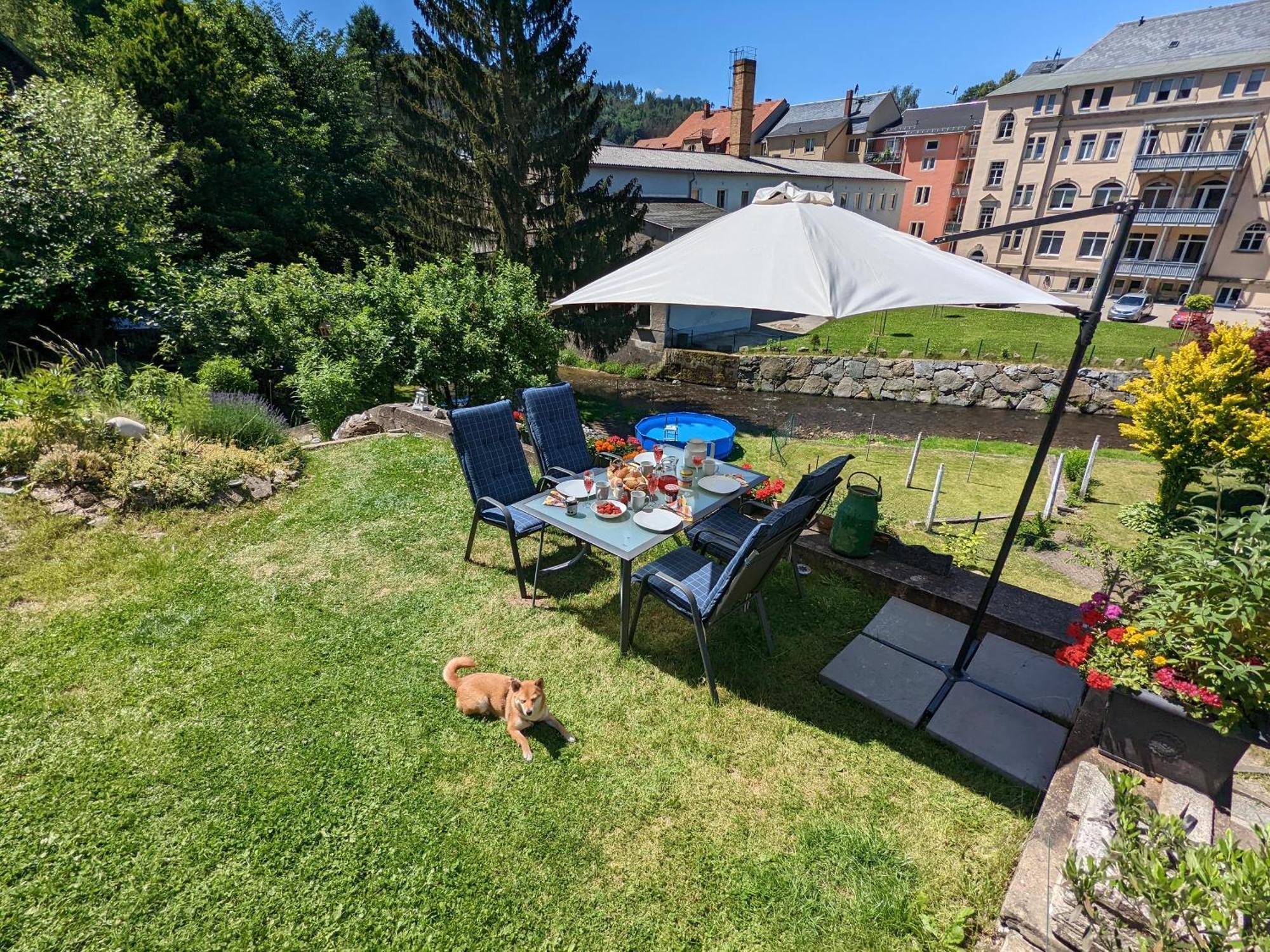 Hw3 - Urlaubsmagie - Helle, Grosse Wohnung Mit Pool Зебниц Экстерьер фото